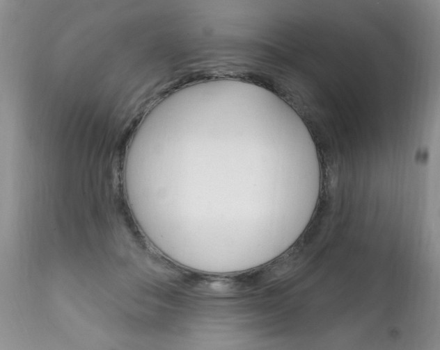 X0000111130506200906301109