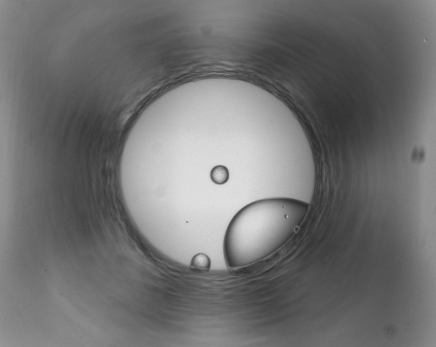 X0000111130508200906301109