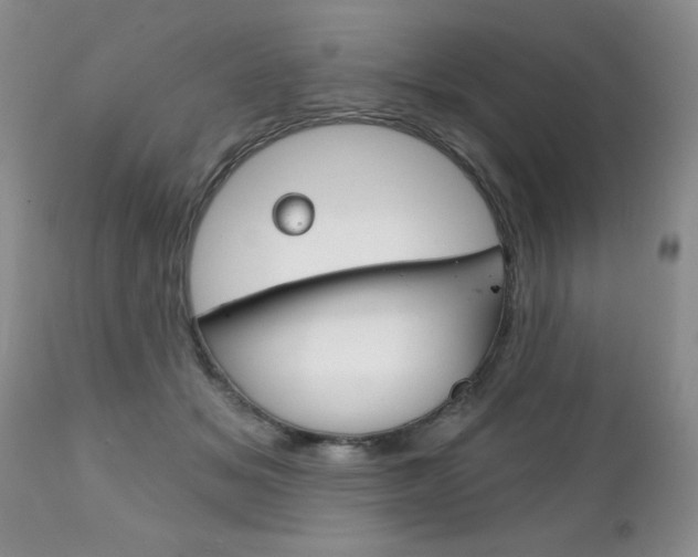 X0000111130509200906301109