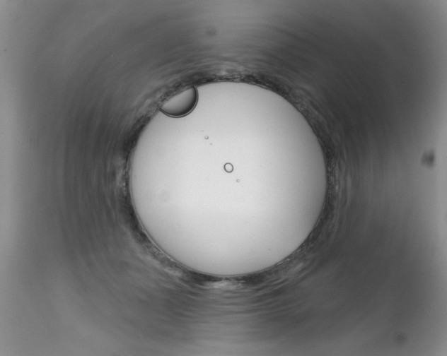 X0000111130511200906301109