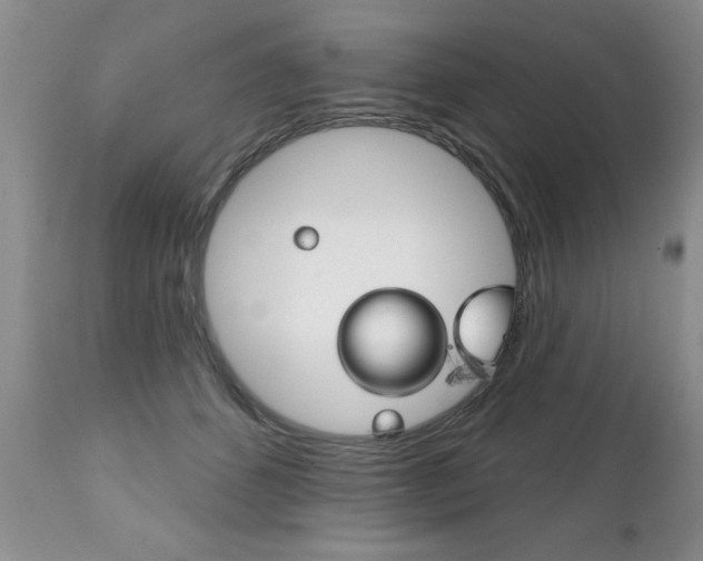 X0000111130512200906301109