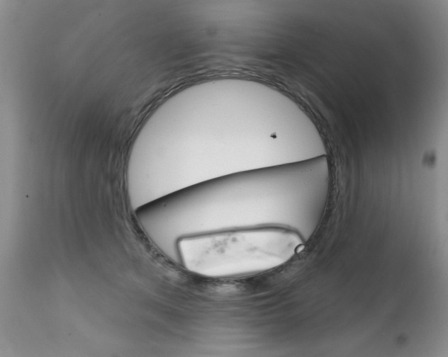 X0000111130513200906301109