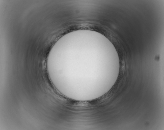 X0000111130514200906301108