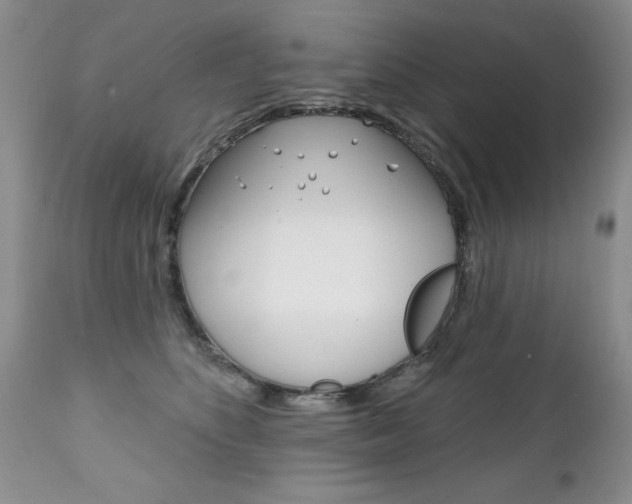 X0000111130516200906301108