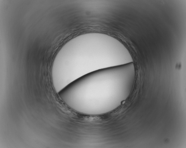 X0000111130517200906301108