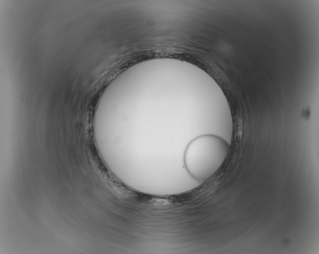 X0000111130519200906301108