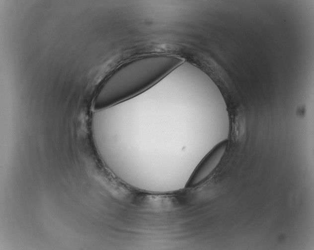 X0000111130520200906301108