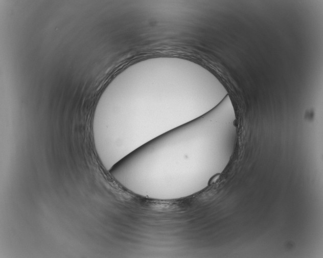 X0000111130521200906301108