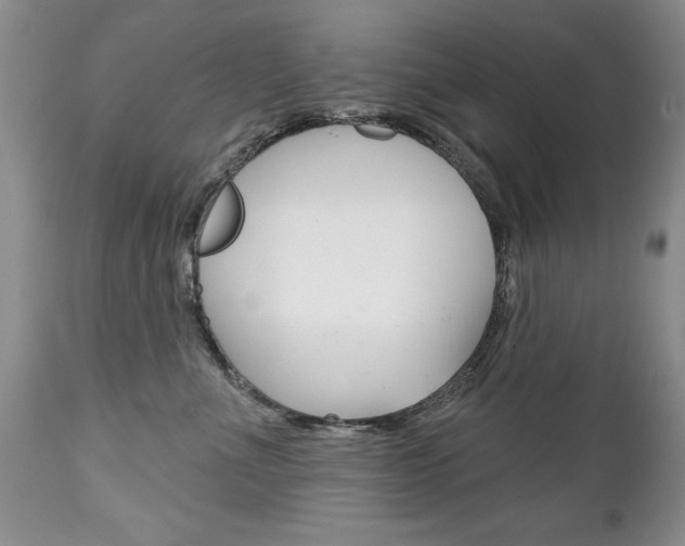 X0000111130523200906301108