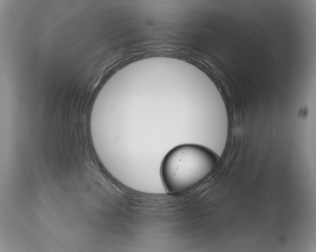X0000111130524200906301108