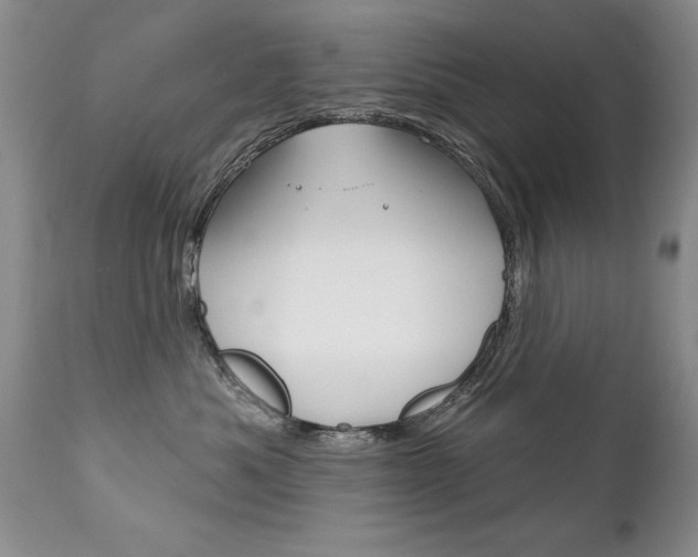 X0000111130525200906301108