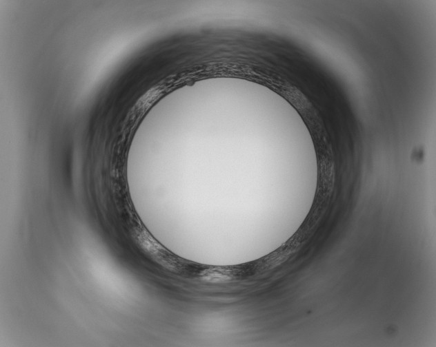 X0000111130526200906301108