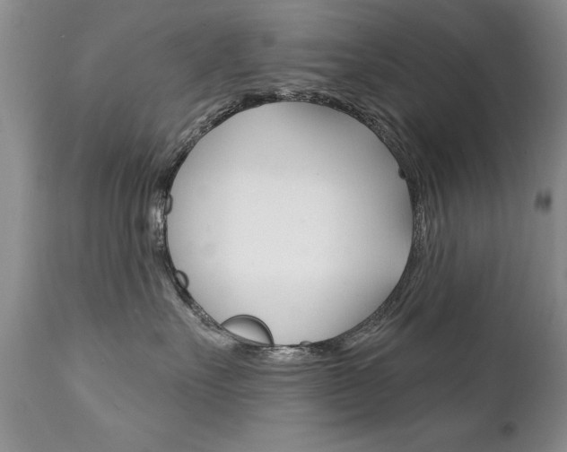 X0000111130527200906301108