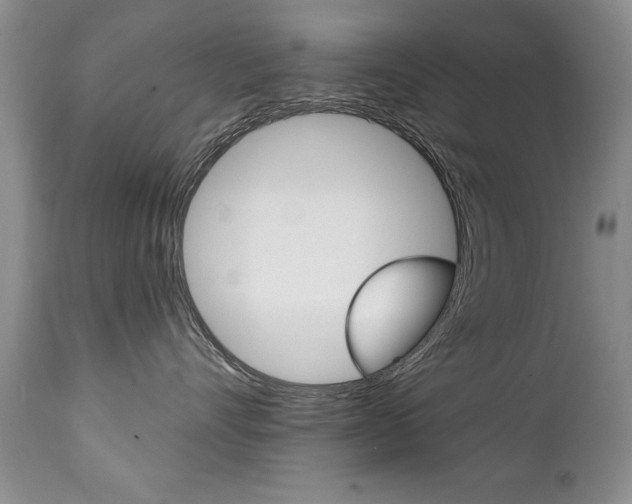 X0000111130528200906301108