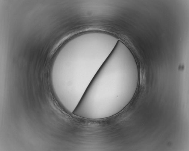 X0000111130531200906301108