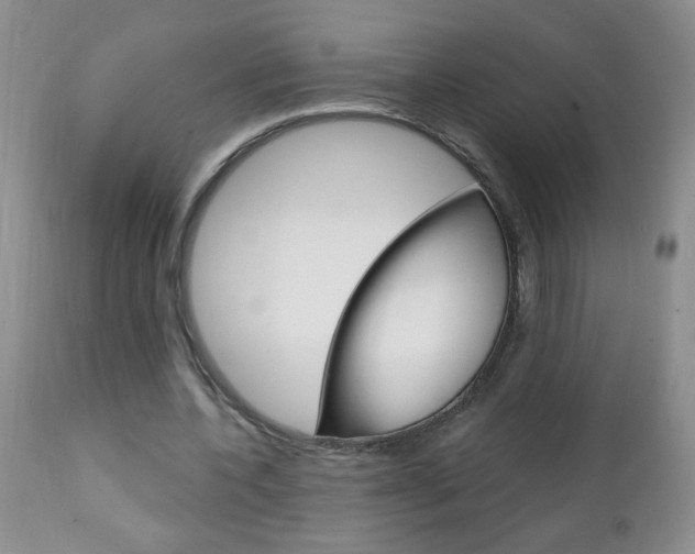 X0000111130532200906301108
