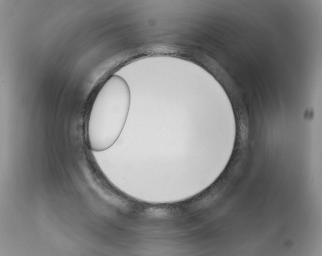 X0000111130534200906301108