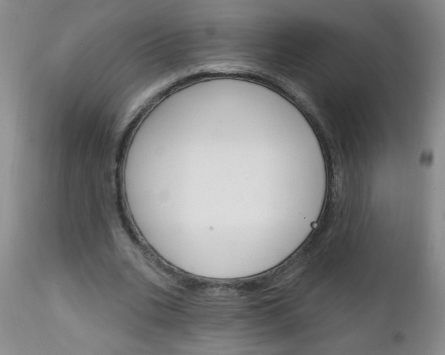 X0000111130535200906301108