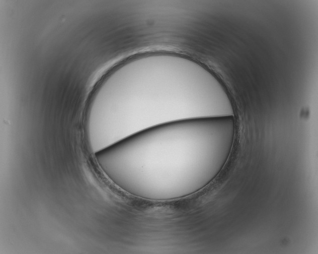 X0000111130536200906301108