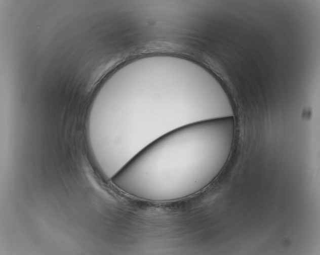 X0000111130538200906301108
