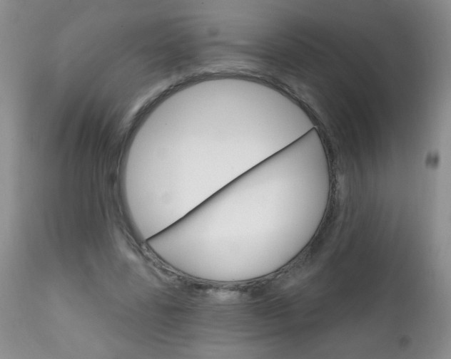 X0000111130539200906301108