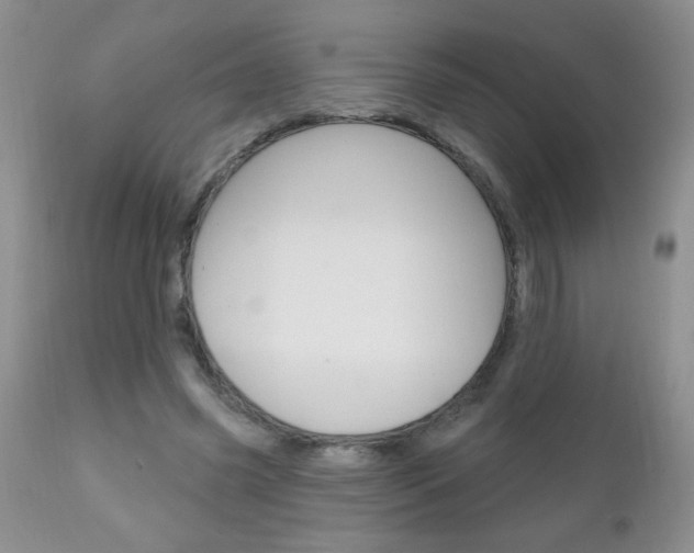 X0000111130541200906301108