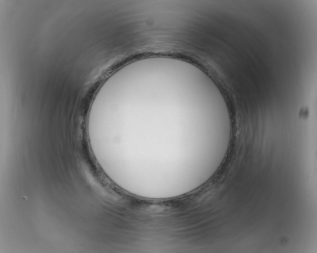 X0000111130542200906301108