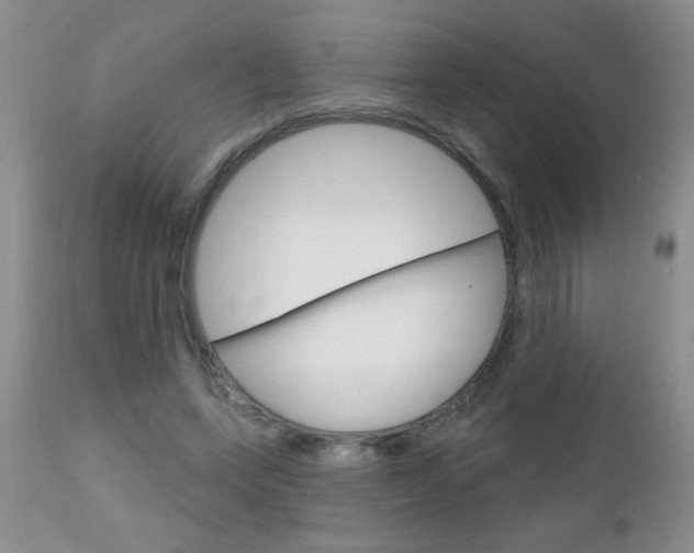 X0000111130543200906301108