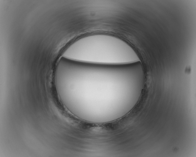 X0000111130544200906301108