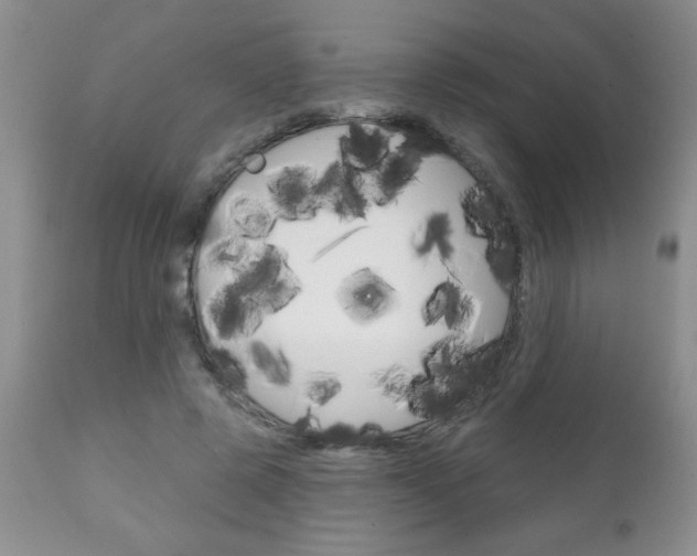 X0000111130545200906301108