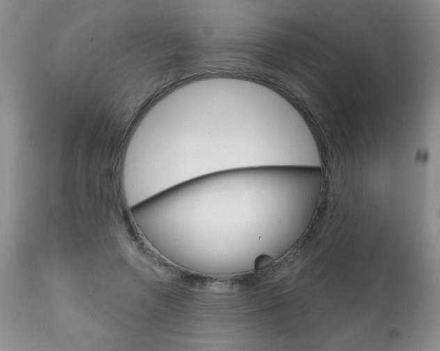 X0000111130546200906301108