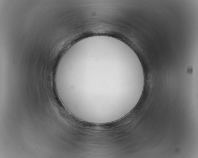 X0000111130547200906301108