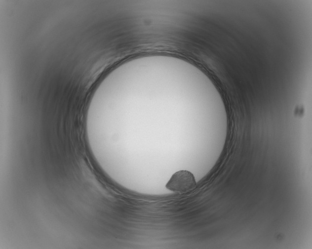 X0000111130548200906301108