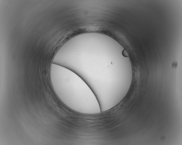 X0000111130549200906301108