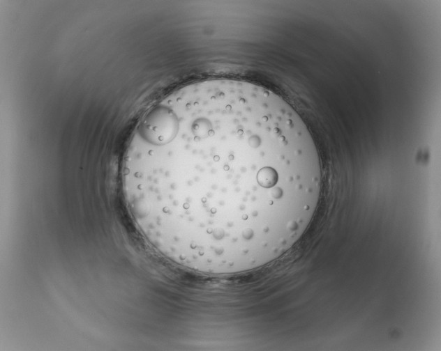 X0000111130550200906301108