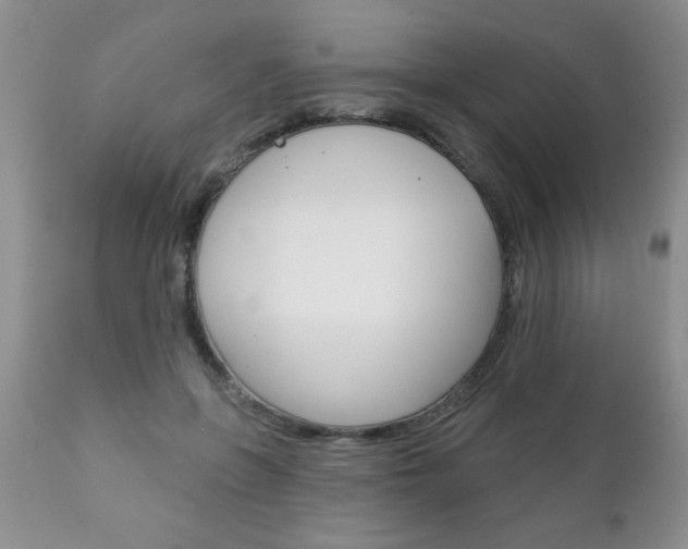 X0000111130551200906301108