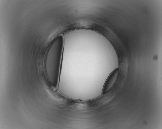 X0000111130552200906301108