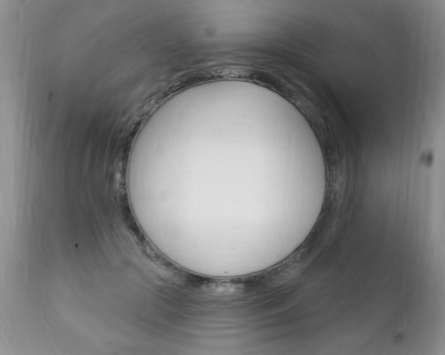 X0000111130553200906301108
