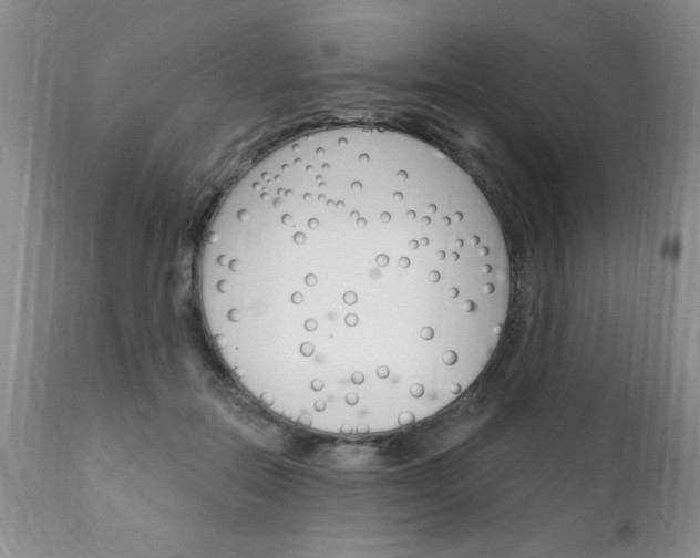 X0000111130554200906301108