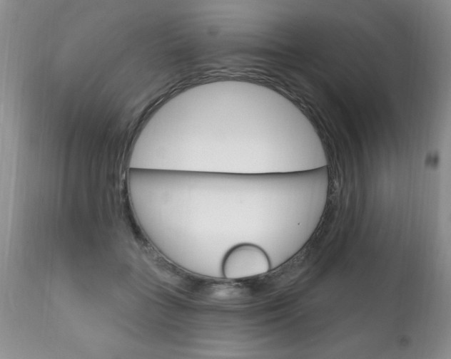 X0000111130555200906301108