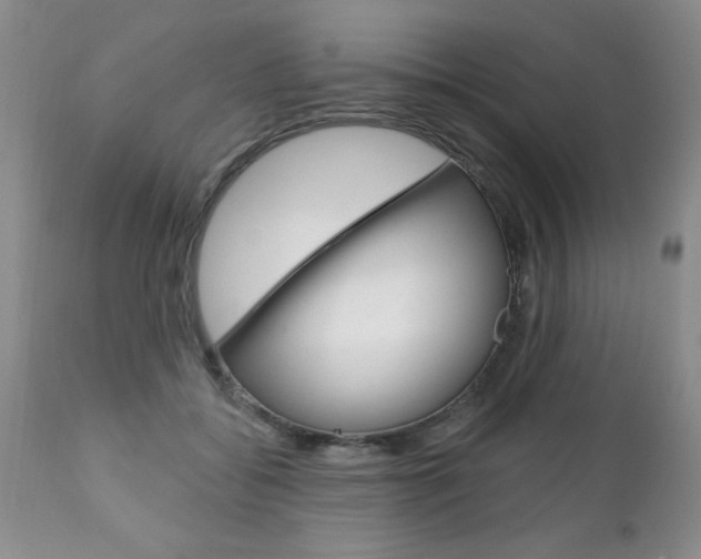 X0000111130556200906301108