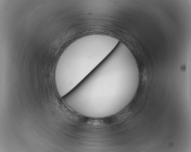 X0000111130559200906301108