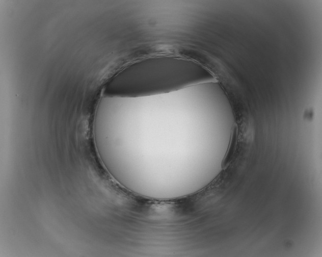 X0000111130560200906301108