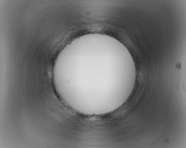 X0000111130561200906301108