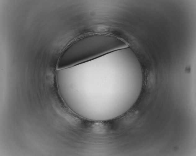 X0000111130562200906301108