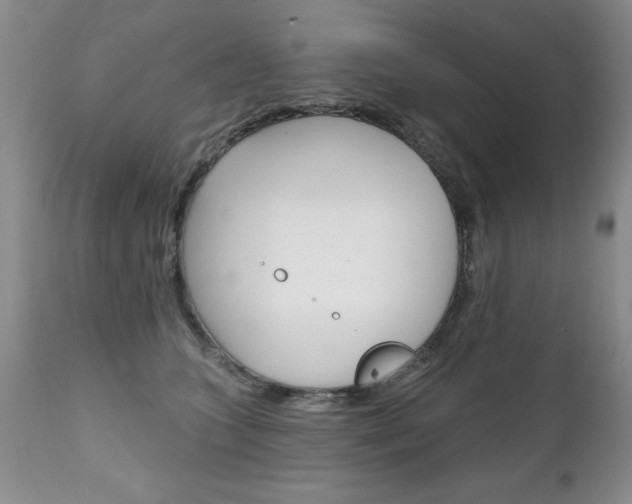 X0000111130563200906301108