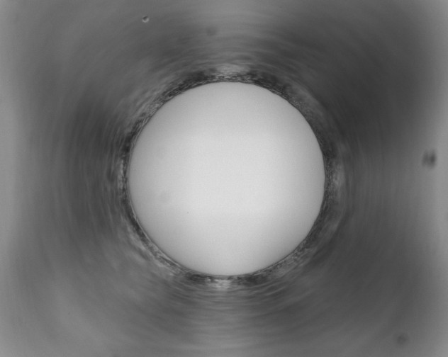 X0000111130565200906301108