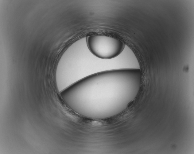 X0000111130566200906301108