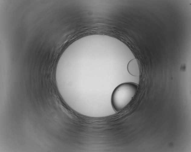 X0000111130568200906301108