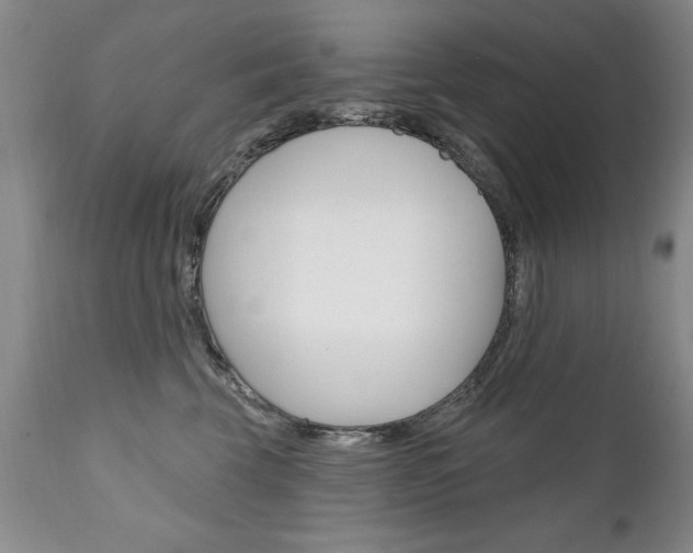 X0000111130569200906301108